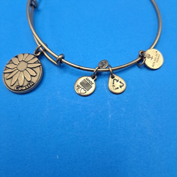 Alex And Ani "Cousin" Bronze tone Expandable Bangle Bracelet 2013 Jewelry - Picture 1 of 5
